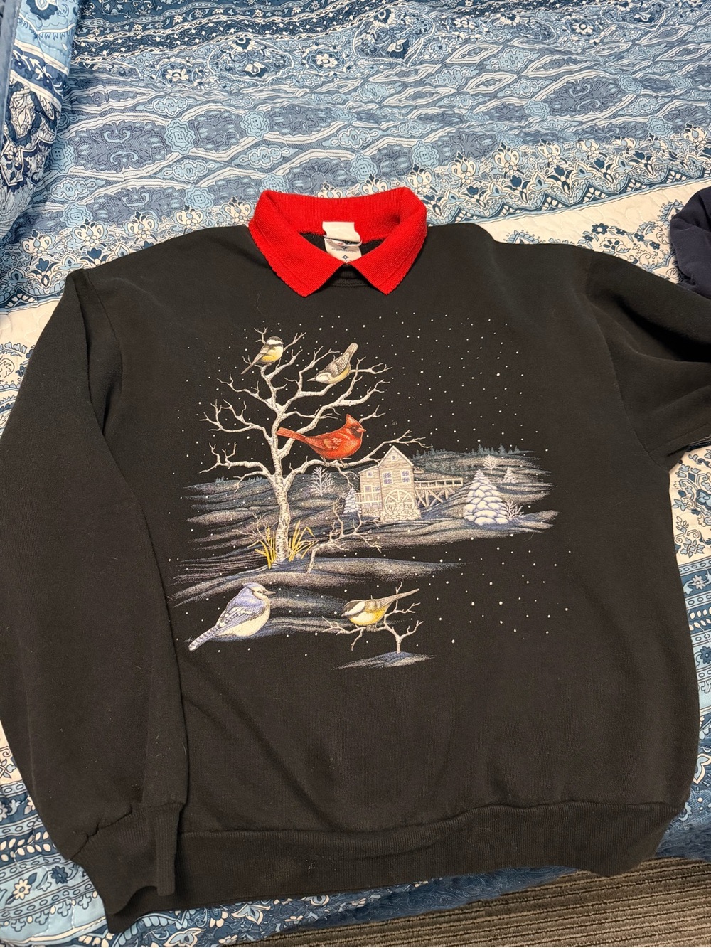 Women’s Black Crewneck Sweater with Red Collar and Winter Bird Motif